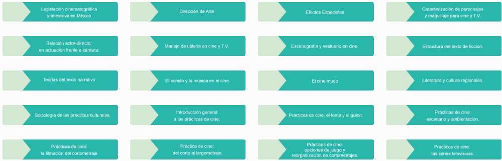 Optativas Licenciatura en Cine