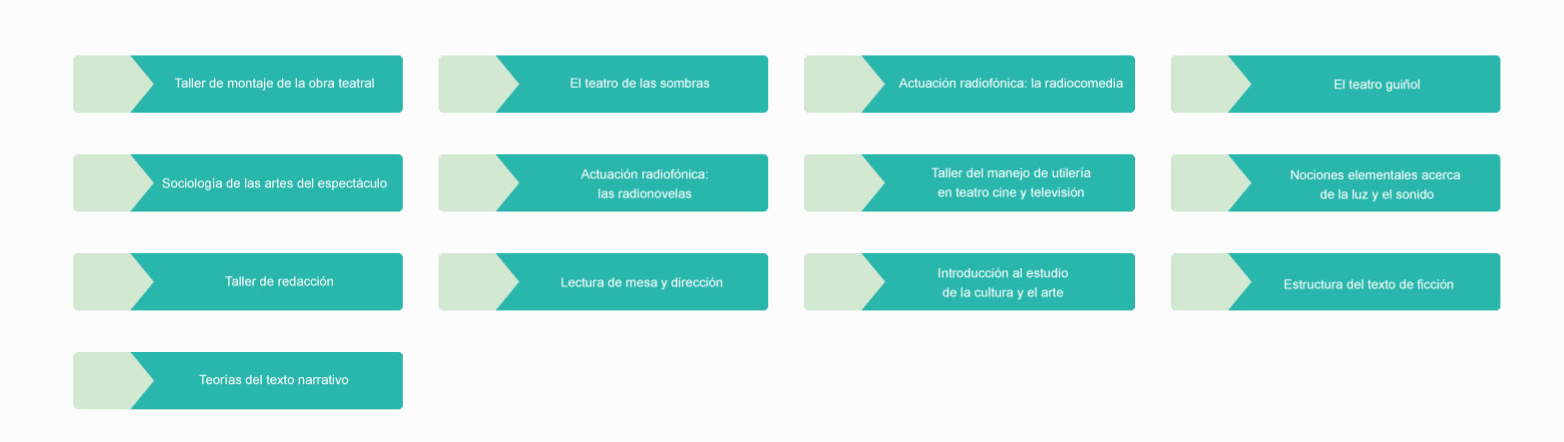 Optativas Licenciatura en Actuación
