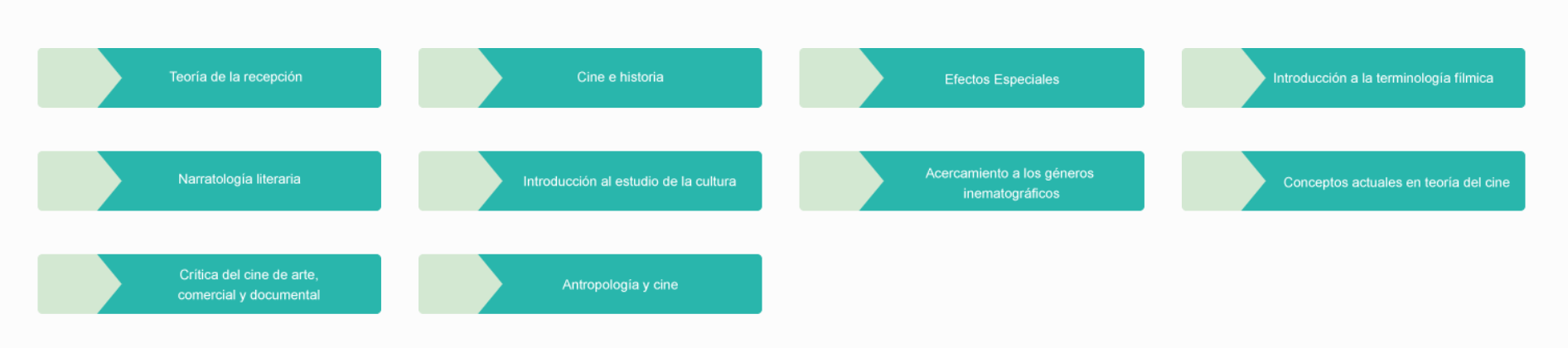 Optativas Licenciatura en Cine
